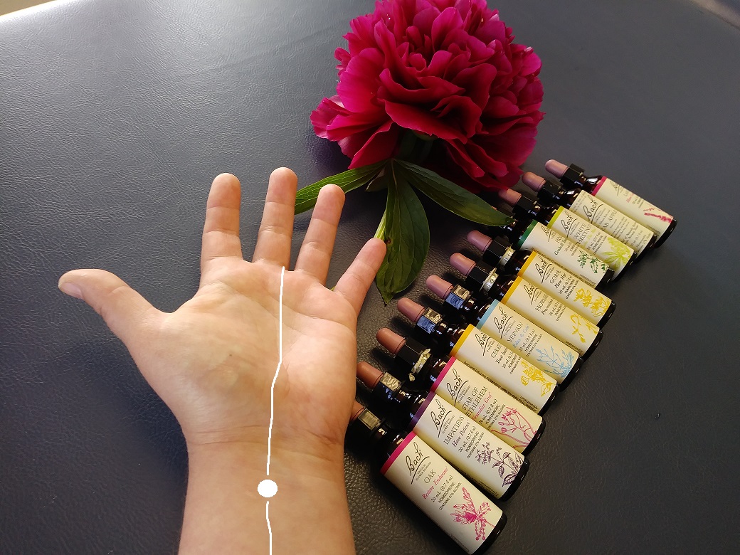 Bach Flower Remedies applied on acu-points